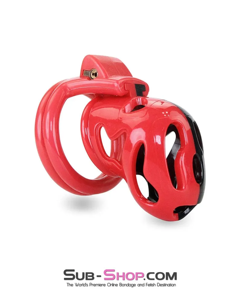 7345M     The Master Lock Locking Chastity Cage