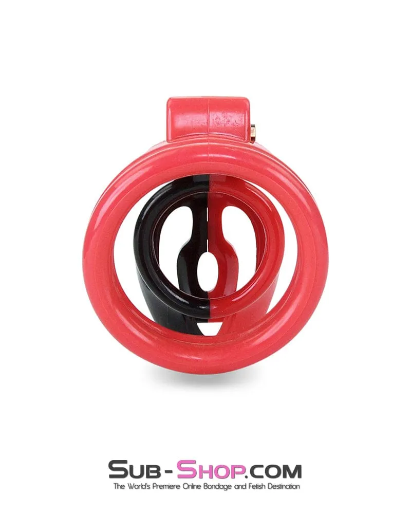 7345M     The Master Lock Locking Chastity Cage