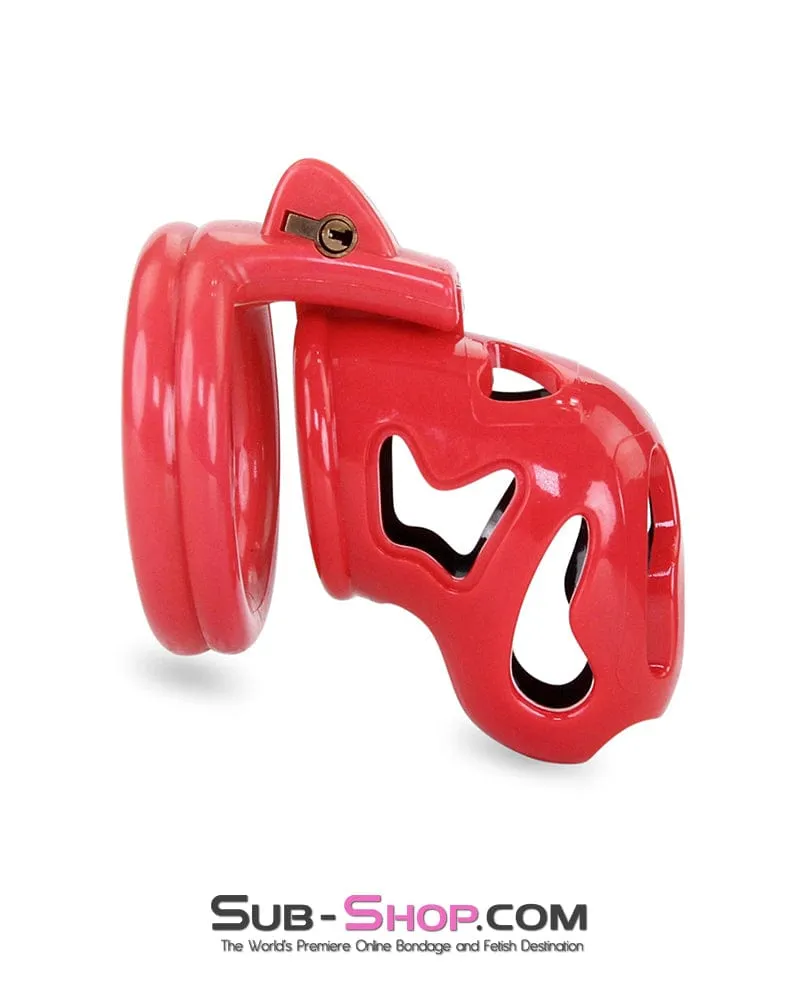 7345M     The Master Lock Locking Chastity Cage