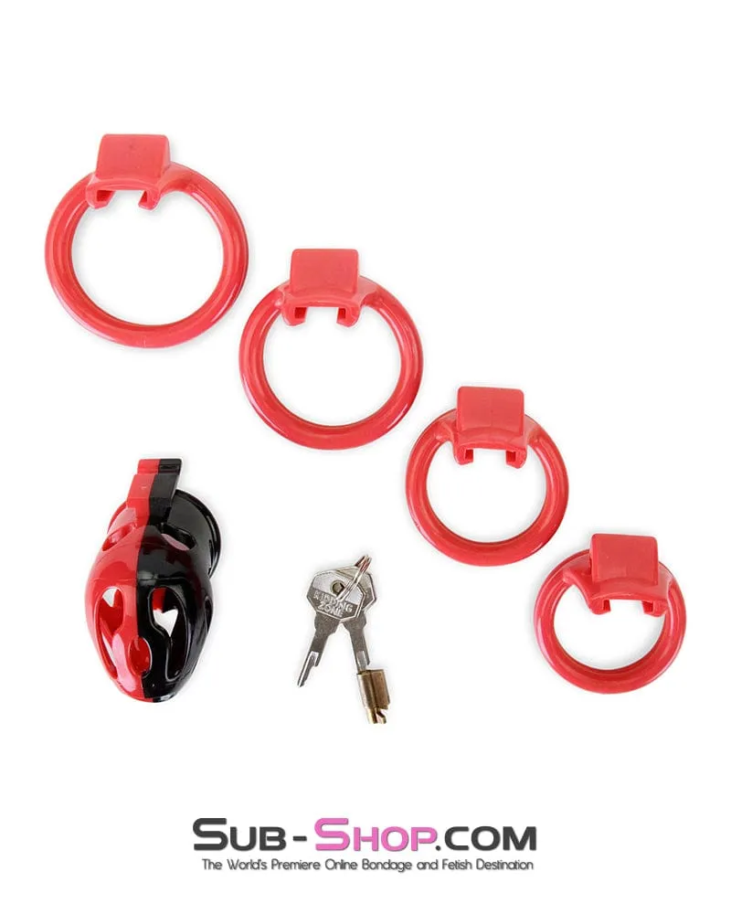 7345M     The Master Lock Locking Chastity Cage