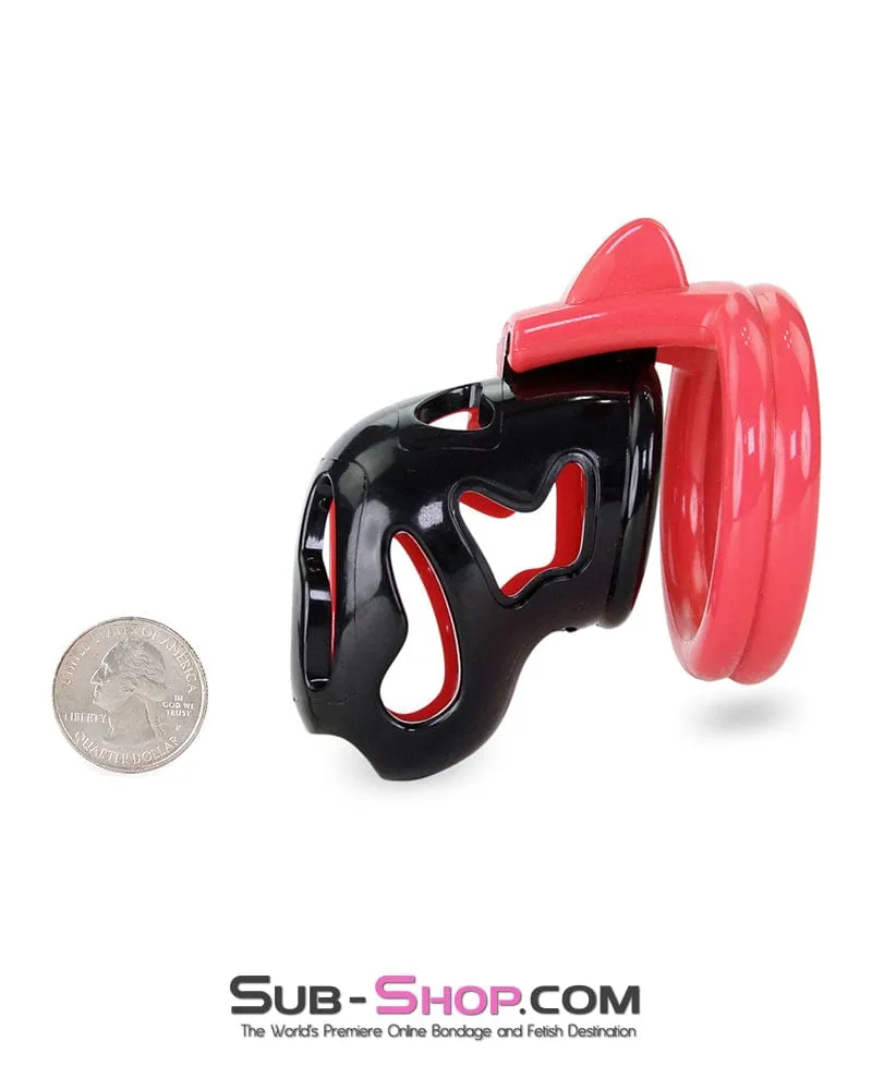 7345M     The Master Lock Locking Chastity Cage