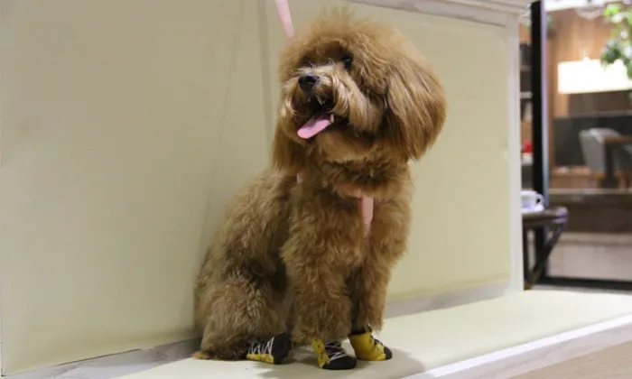 Anti-Slip Pet  Dog Cat Knit  Socks Adjustable Paw Protector for Small Puppies and Kittens Traction Control
