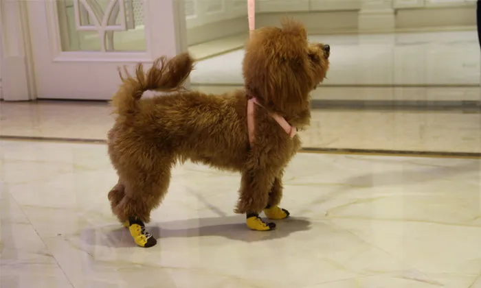 Anti-Slip Pet  Dog Cat Knit  Socks Adjustable Paw Protector for Small Puppies and Kittens Traction Control