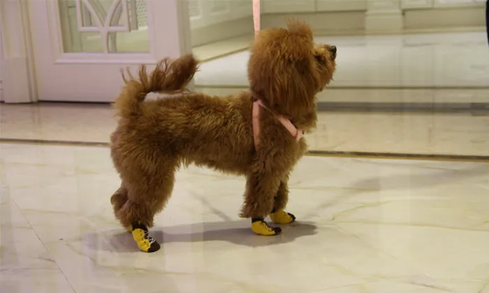 Anti-Slip Pet  Dog Cat Knit  Socks Adjustable Paw Protector for Small Puppies and Kittens Traction Control