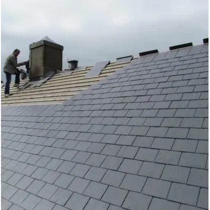 Ardigonte Prime 1st Grade Pre-Holed Spanish Slate - 500 x 250 mm
