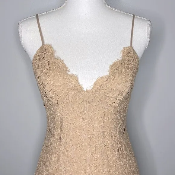 Bardot Sienna Lace Slip Dress