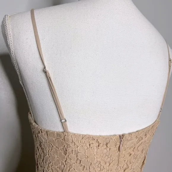 Bardot Sienna Lace Slip Dress