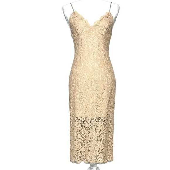 Bardot Sienna Lace Slip Dress