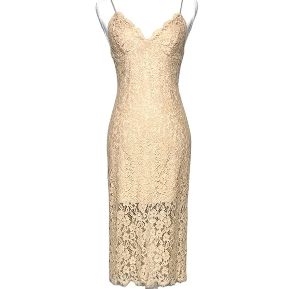 Bardot Sienna Lace Slip Dress