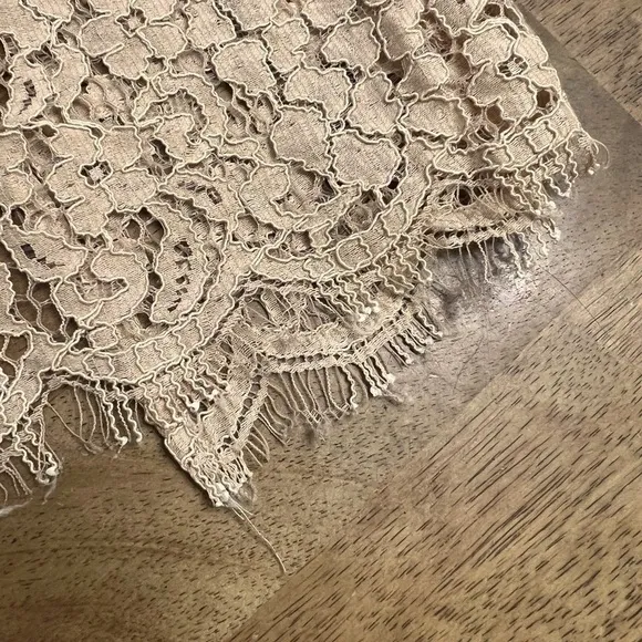 Bardot Sienna Lace Slip Dress