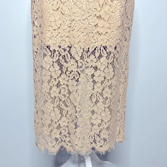 Bardot Sienna Lace Slip Dress