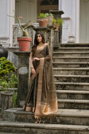 Coffee Brown Soft Kalyani Silk Saree