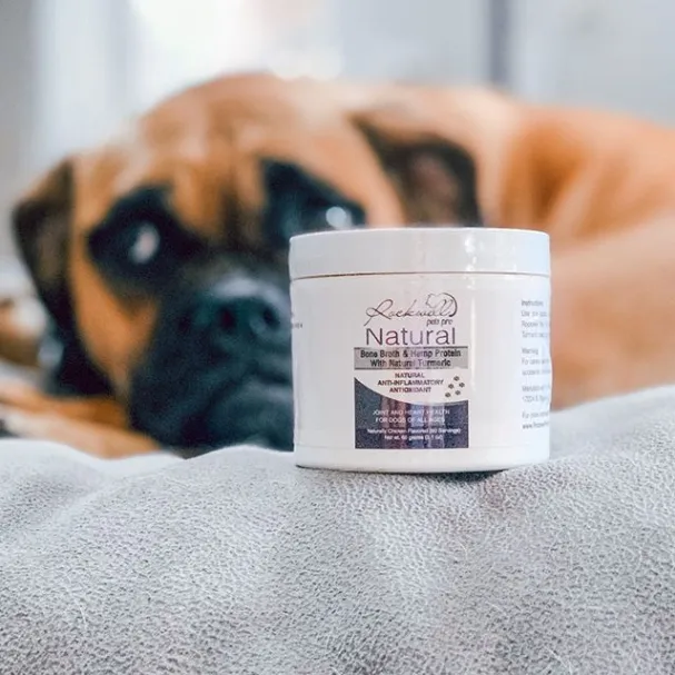 Dog Bone Broth