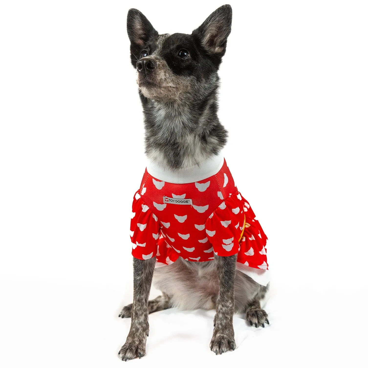 Doggie Mouse | Halloween Pet Costume