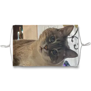 Face Mask Adjustable w/Filter - Siamese Cat - Rescue Pets - Chena