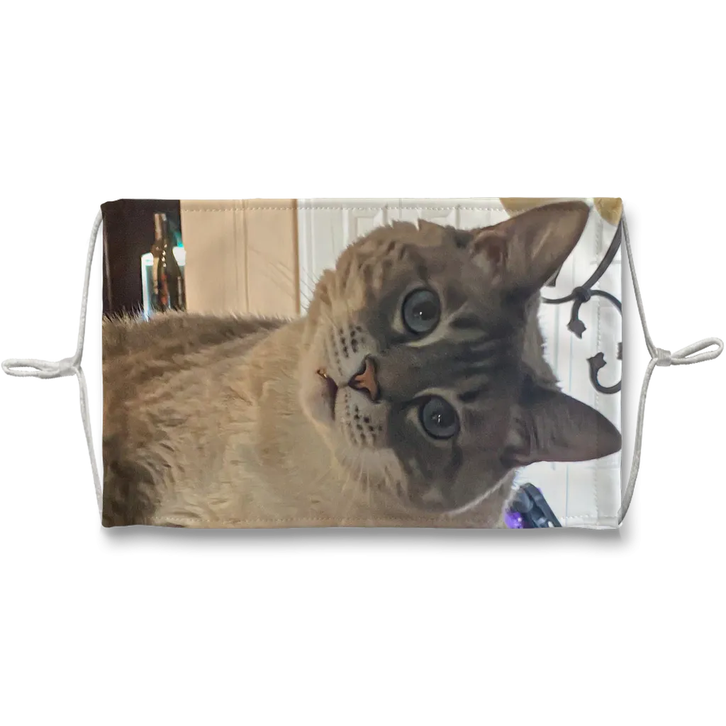 Face Mask Adjustable w/Filter - Siamese Cat - Rescue Pets - Chena