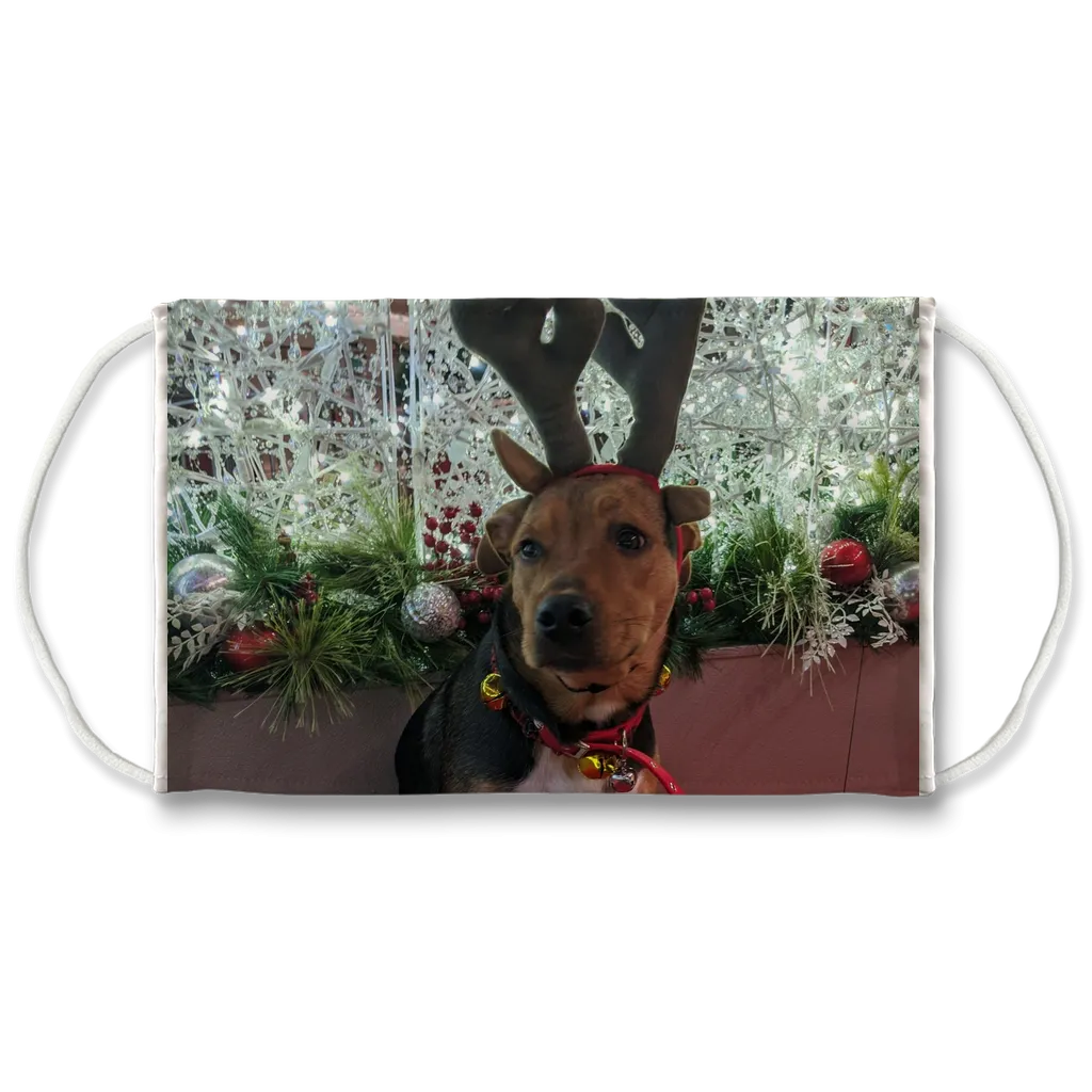 Face Mask Adjustable with Carbon Filter - Christmas Dog