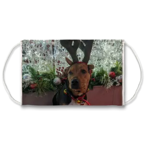 Face Mask Adjustable with Carbon Filter - Christmas Dog