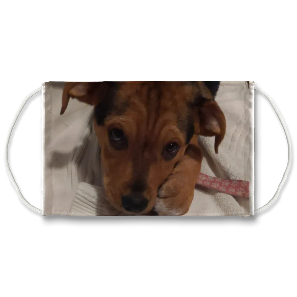 Face Mask Adjustable with Carbon Filter - Lucy Puppy