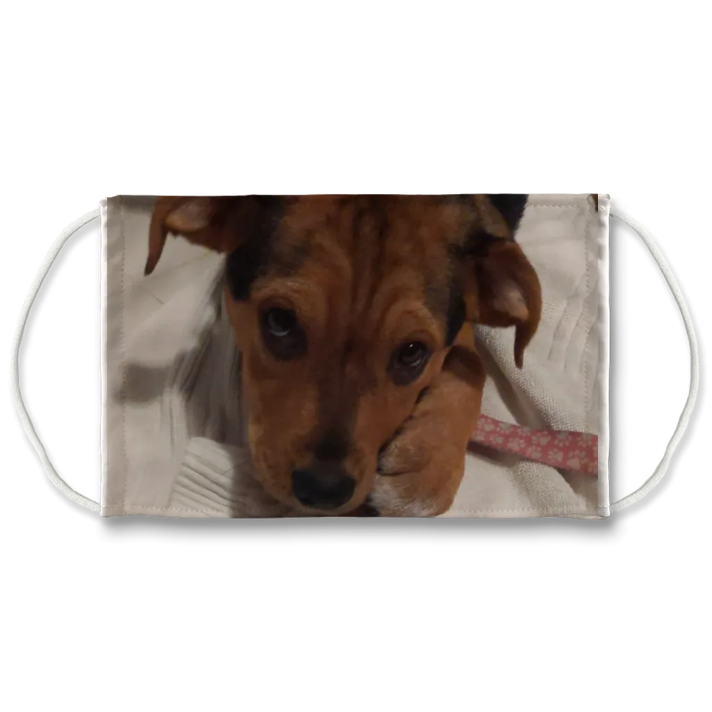 Face Mask Adjustable with Carbon Filter - Lucy Puppy