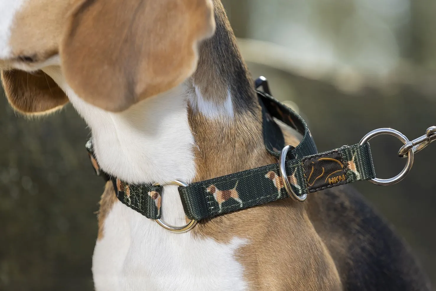 HKM Dog Head Collar Beagle