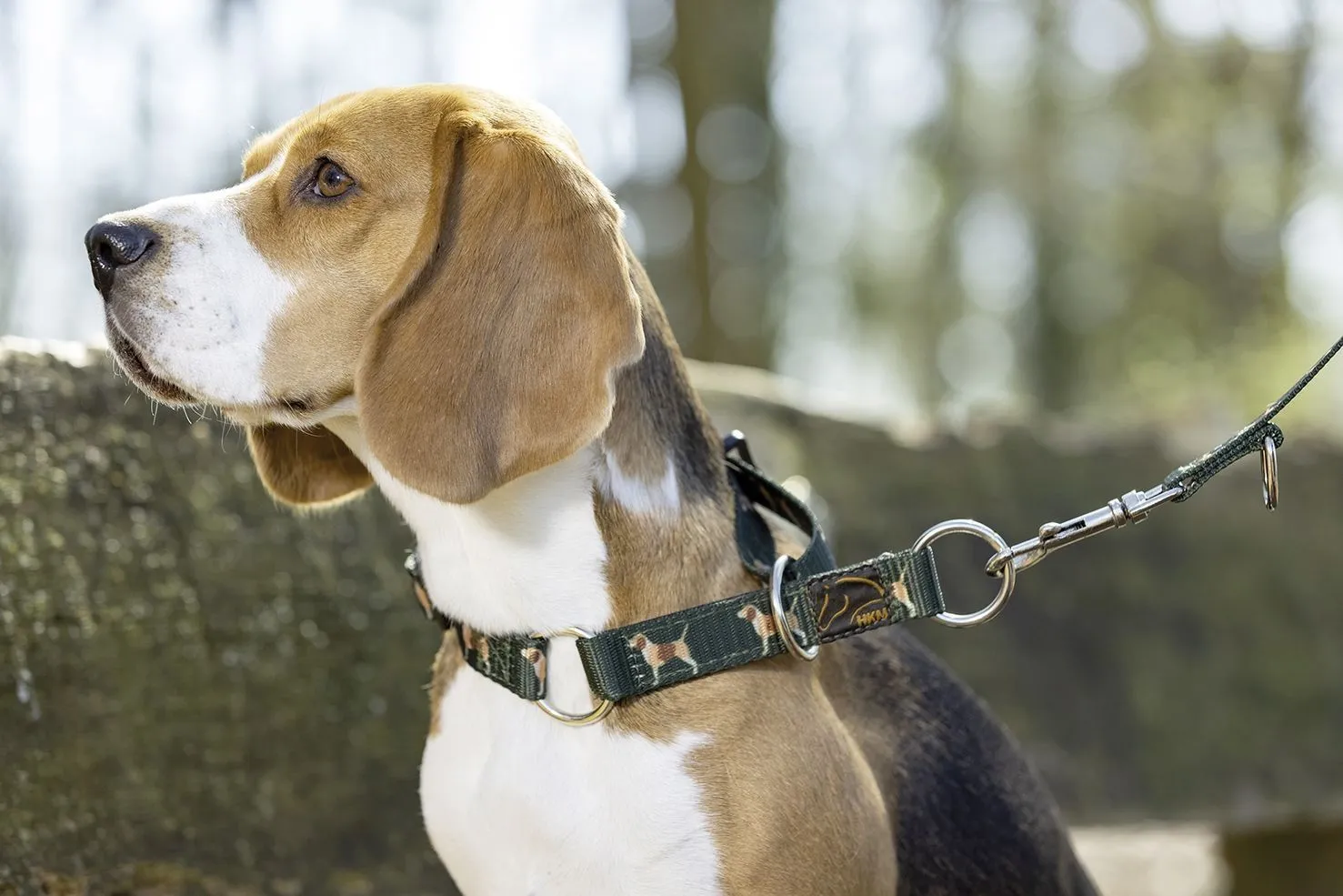 HKM Dog Head Collar Beagle