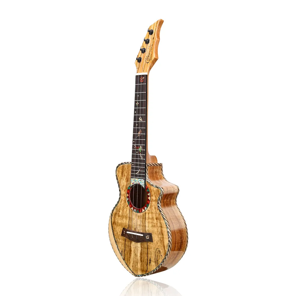 HRICANE concert size Spalted Maple ukulele