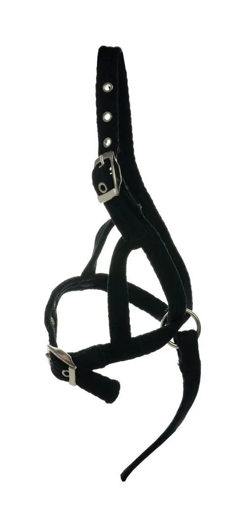 Hy Foal Slip Halter