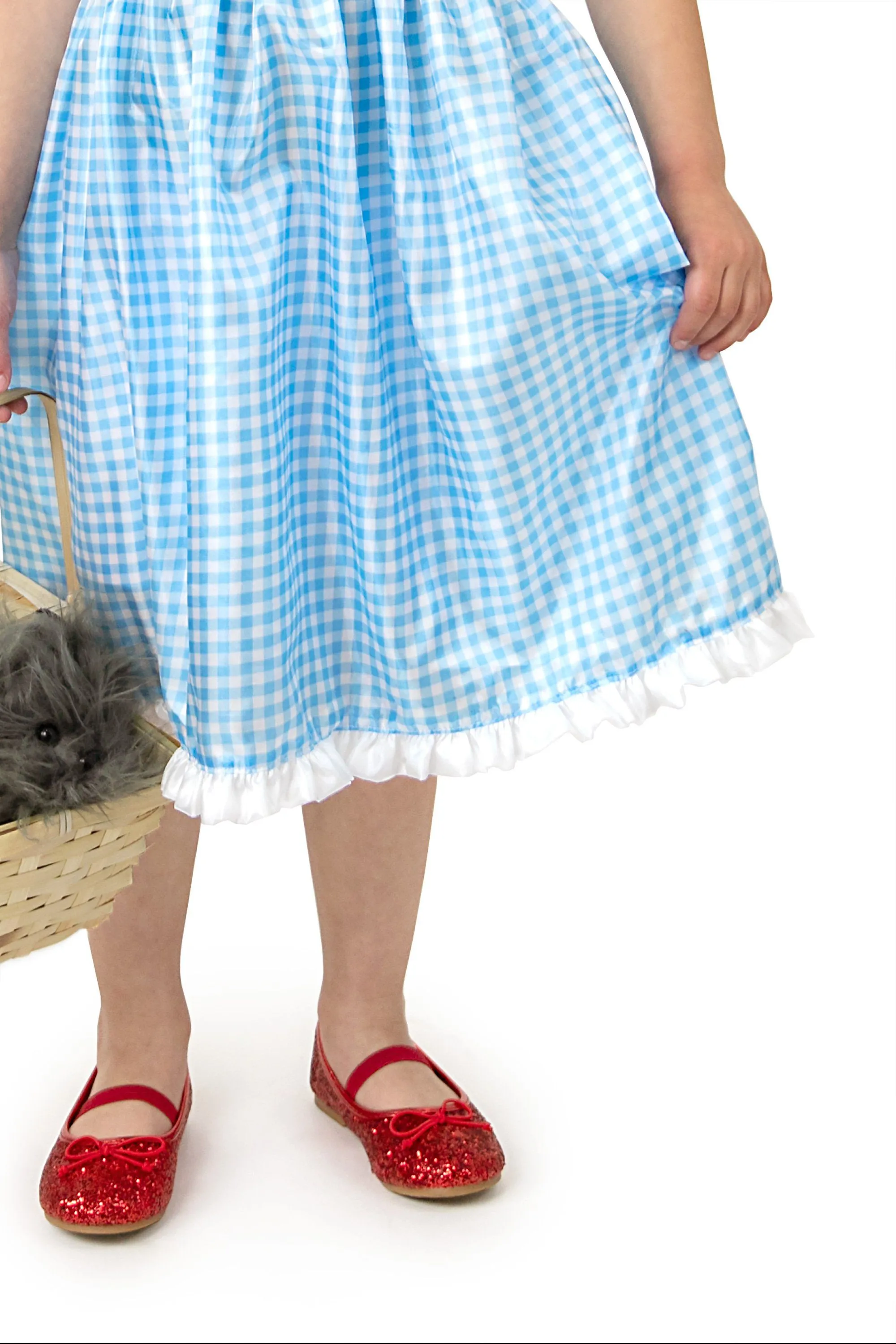 Kansas Girl with Bows