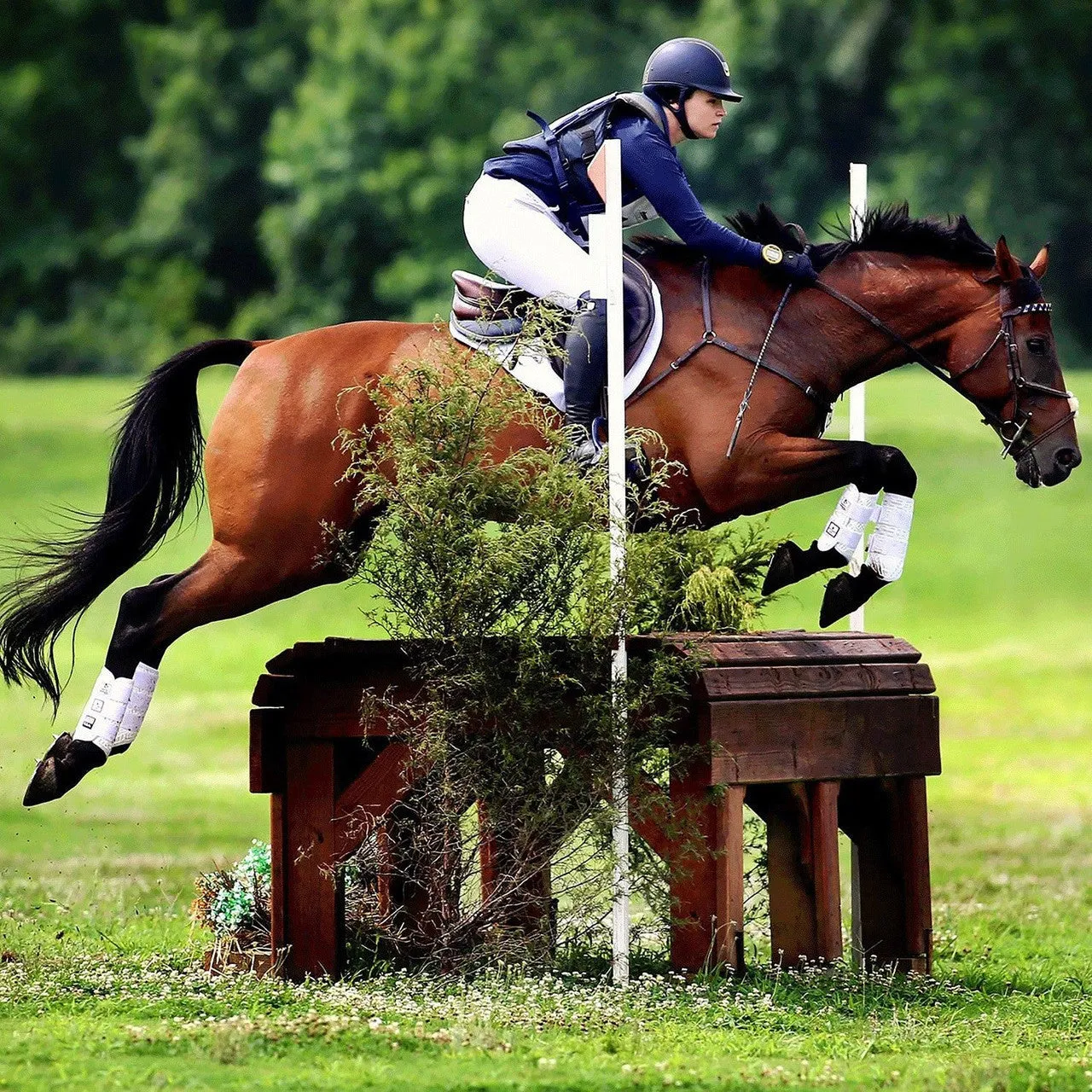 Majyk Equipe Boyd Martin Eventing Front & Hind Boot 4-Pack