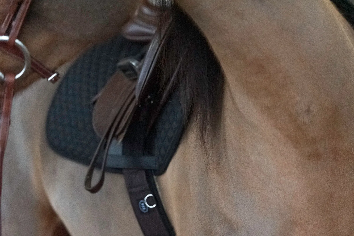 *NEW* Benefab THERAPEUTIC ALL-PURPOSE SADDLE PAD - Black