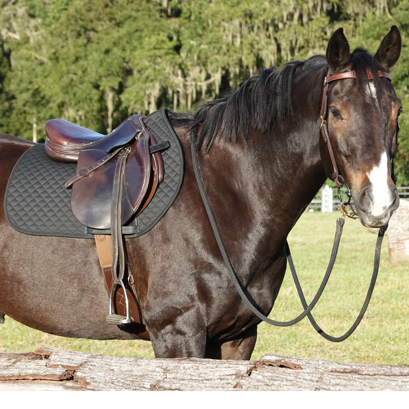 *NEW* Benefab THERAPEUTIC ALL-PURPOSE SADDLE PAD - Black