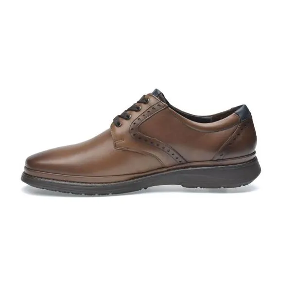 NEW PAZSTOR men's oxfords baruc in brown