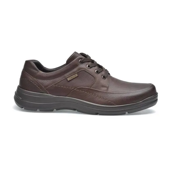 NEW PAZSTOR men's oxfords gabriel in brown