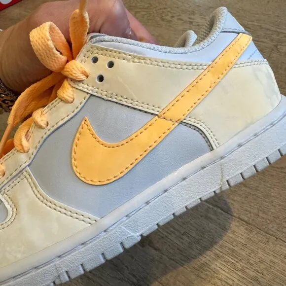 Nike Youth Dunk Low Sneakers Blue &amp; Orange