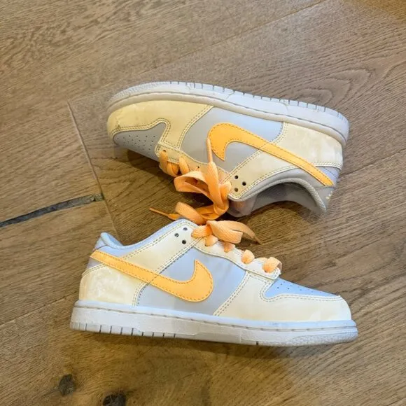 Nike Youth Dunk Low Sneakers Blue &amp; Orange
