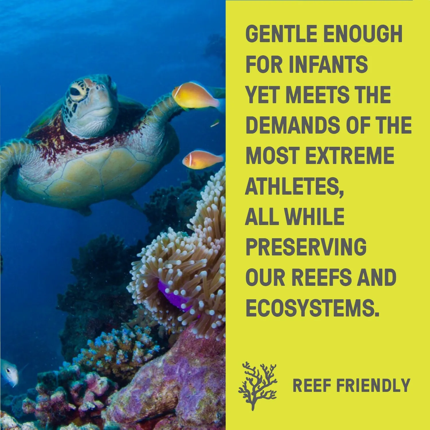 OCEAN RAMSEY - WORLD REEF DAY STICK SPF 30 *Zero Waste*