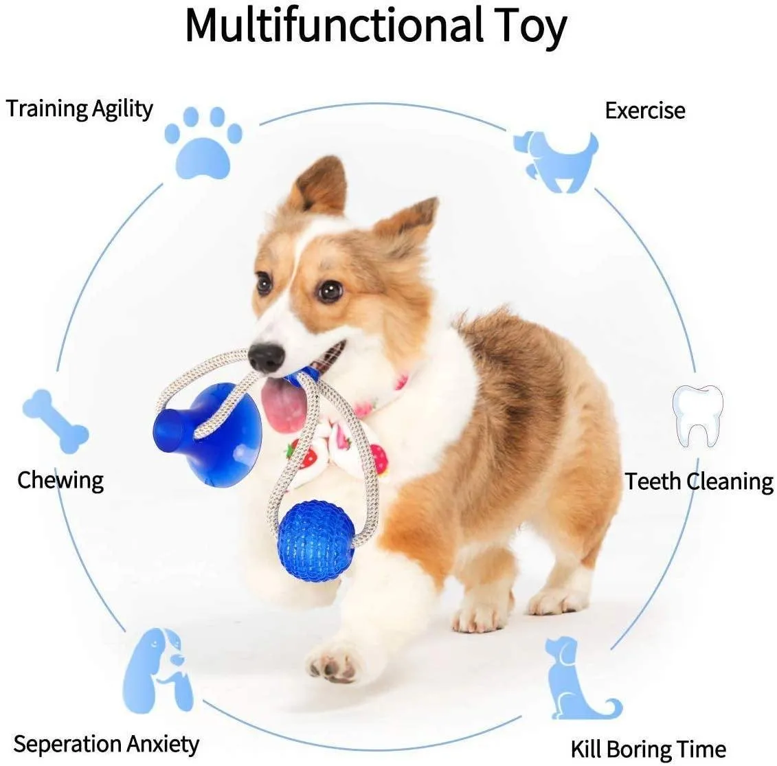 Rubber Ball With Suction Cup | Multifunction Chew Toy