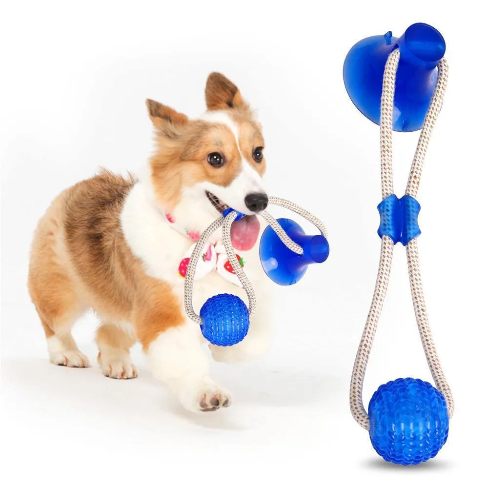 Rubber Ball With Suction Cup | Multifunction Chew Toy