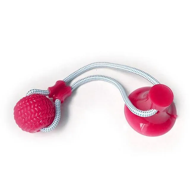 Rubber Ball With Suction Cup | Multifunction Chew Toy