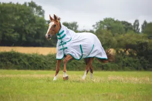 Shires Tempest Fly Combo