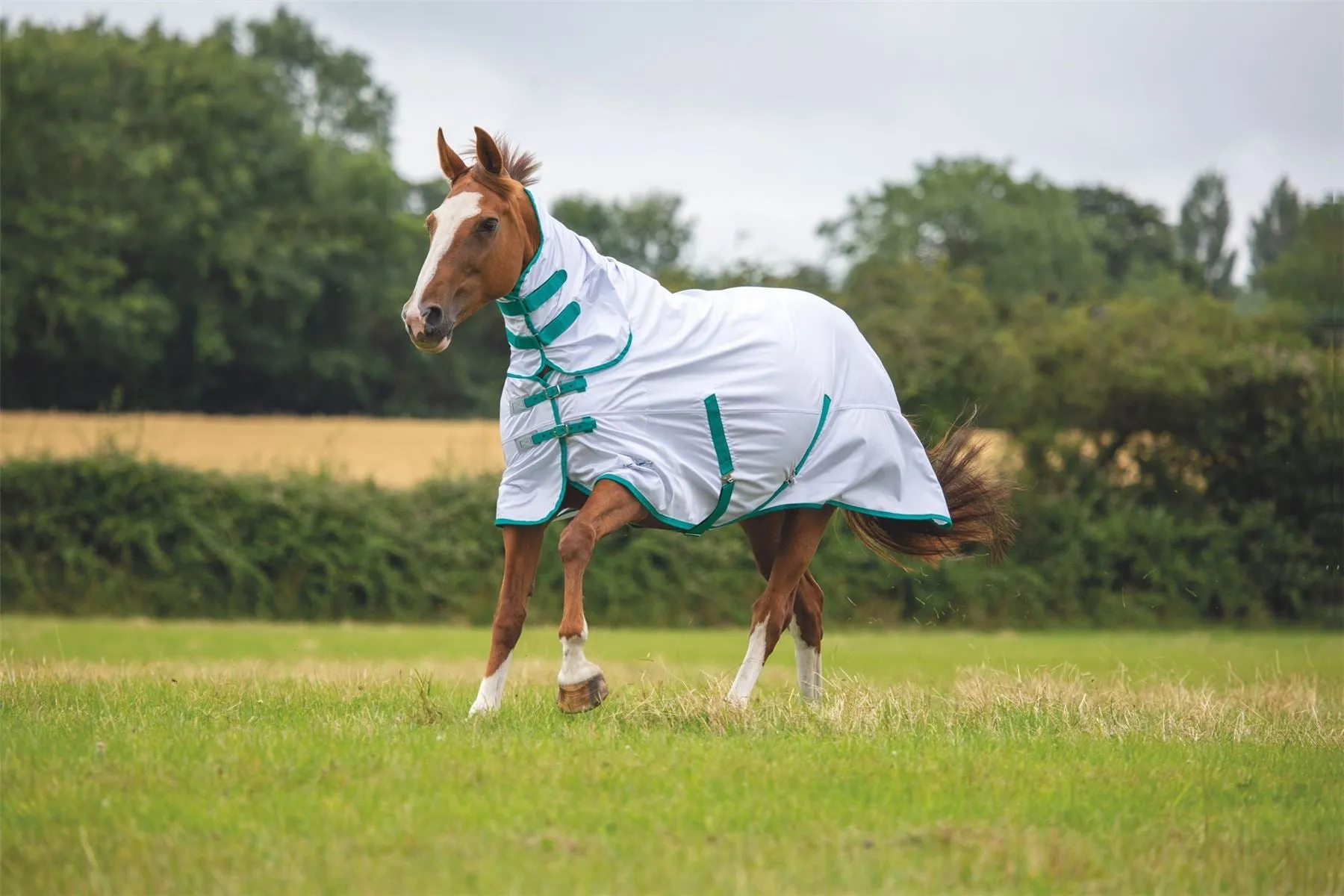 Shires Tempest Fly Combo