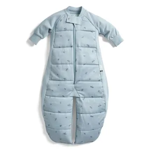 Sleep Suit Bag 2.5 Tog - Dragonflies