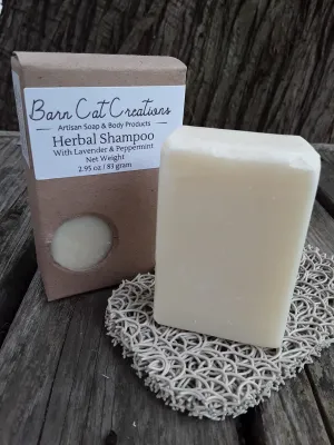 Solid Shampoo
