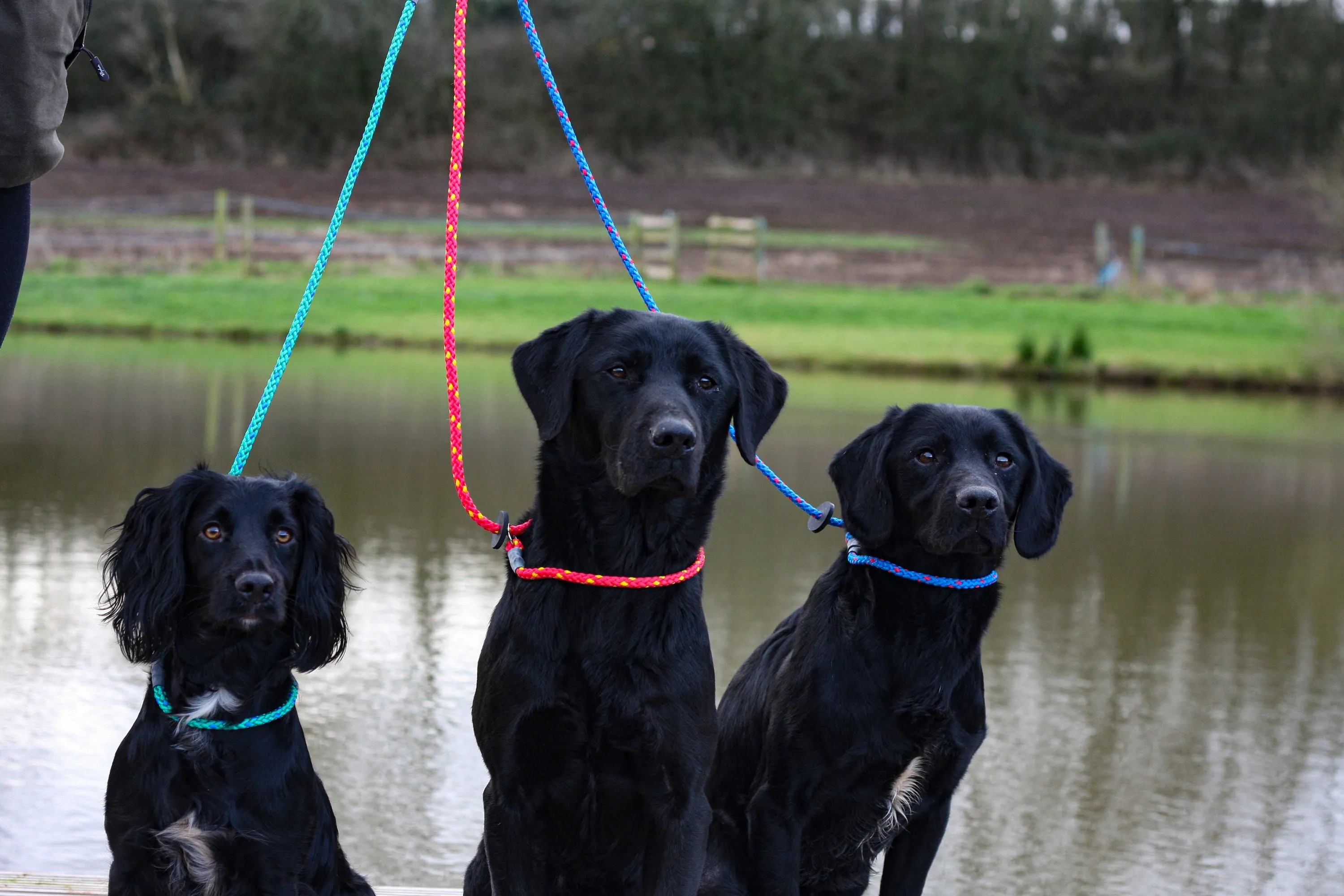 SPORTING SAINT Gundog Slip Lead - 1.5M