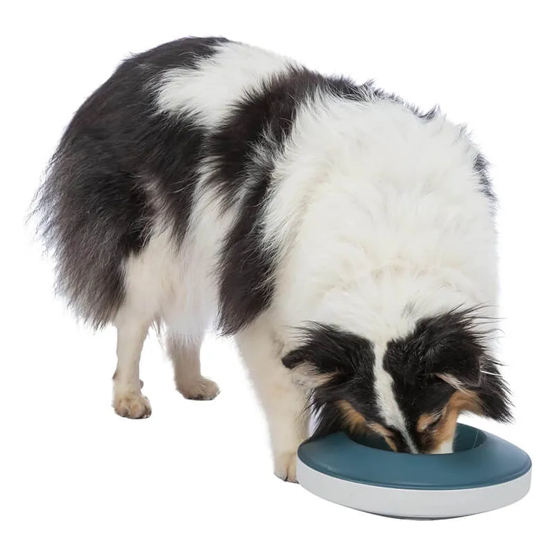 Trixie Slow Feeding Rocking Bowl