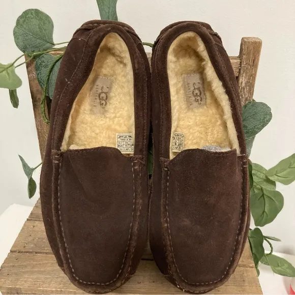 UGG Ascot Men's Brown Suede Slippers